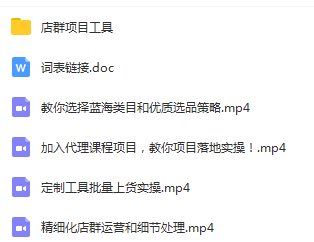 2019淘宝店群精细化运营总裁班（送店群软件+模版等）
