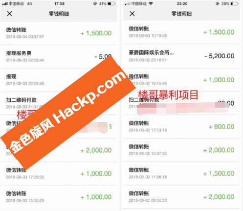 独家新蓝海项目:全自动躺赚长期暴利网站