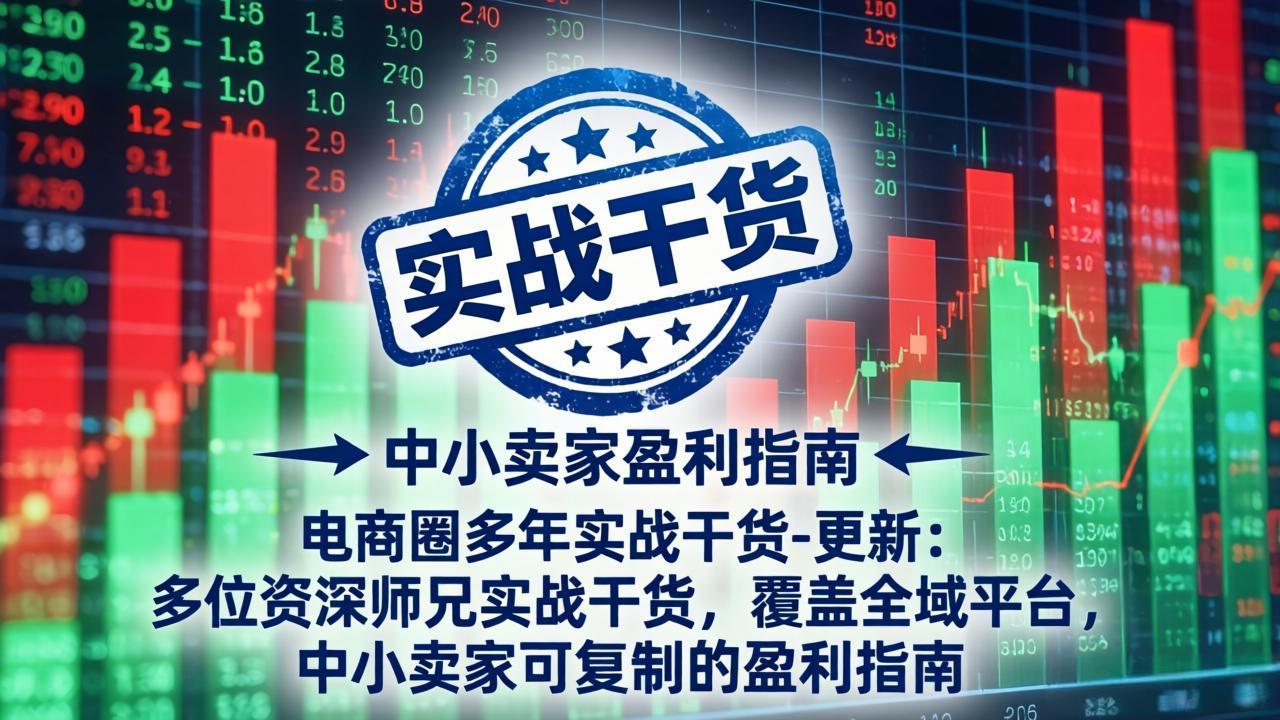 电商圈多年实战干货：多位资深师兄实战干货，覆盖全域平台，中小卖家可复制的盈利指南
