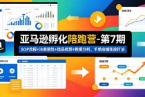 亚马逊孵化陪跑营-第7期：SOP流程+注册避坑+选品梳理+数据分析，千单店铺实战打法（更新0625）