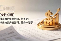 付费文章：（女性必看）借来的估值会折旧，带不走；挣来的资产能复利，跟你一辈子