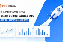 拼多多60期直通车原创技术：极速起量+计划矩阵群爆+全店托管，投产不稳的终极解法