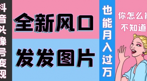 抖音头像号变现0基础教程：全新风口，发发图片也能变现月入10000+