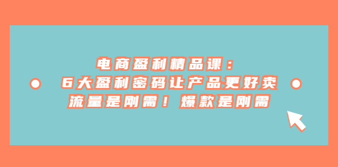 电商盈利精品课：6大盈利，密码让产品更好卖，流量是刚需