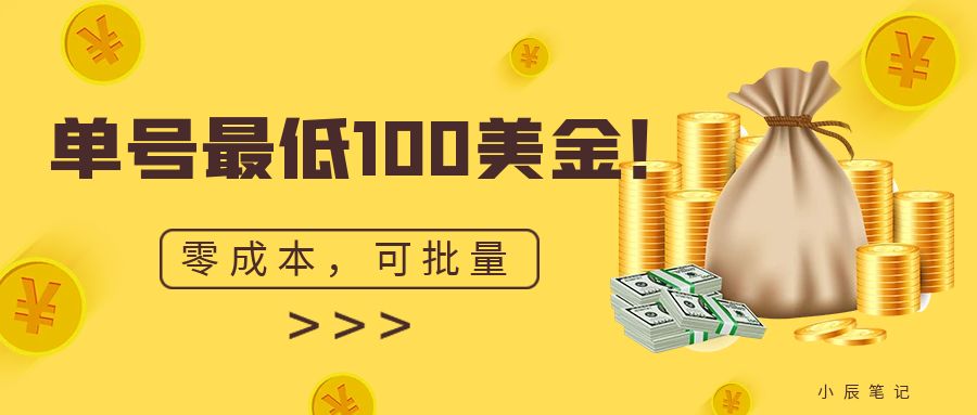 单号最低100美金，零成本，小白无脑操作