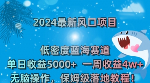 2024最新风口项目 低密度蓝海赛道，日收益5000+周收益4w+ 无脑操作