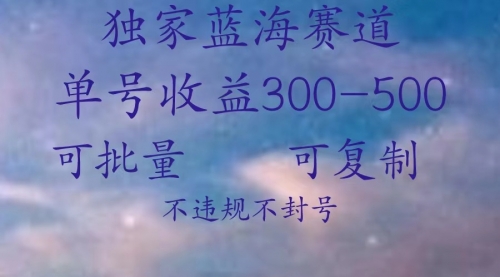 全网冷门小项目，小白也能做，一个号100—1000➕