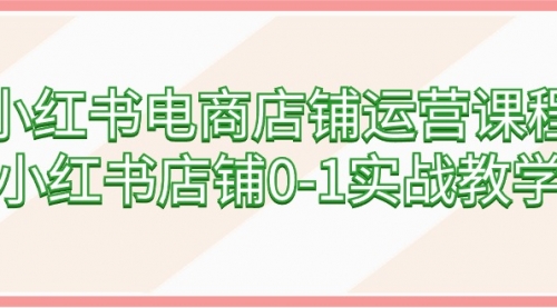 小红书电商店铺运营课程，小红书店铺0-1实战教学（60节课）