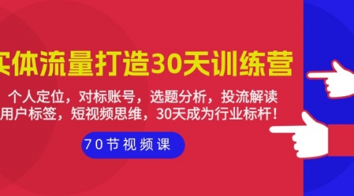 实体-流量打造-30天训练营：个人定位，对标账号，选题分析，投流解读-70节