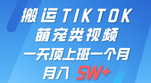 一键搬运TIKTOK萌宠类视频 一部手机即可操作 所有平台均可发布 轻松月入5W+