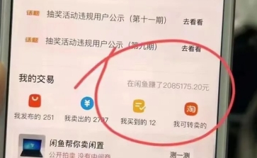 闲鱼搬运小众玩法，一单最高500