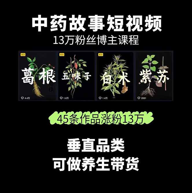 图片[2]-【第13569期】中草药养生赛道：AI文案+故事模板+橱带货，45条作品涨粉13w+单月变现1万+-吸亿欧创业网