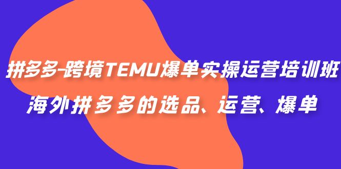 拼多多-跨境TEMU爆单实操运营培训班，海外拼多多的选品、运营、爆单